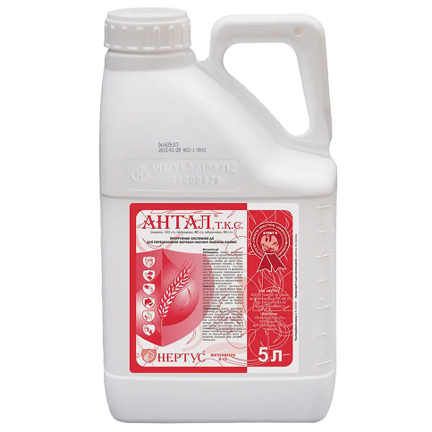 Протруйник Антал, Нертус