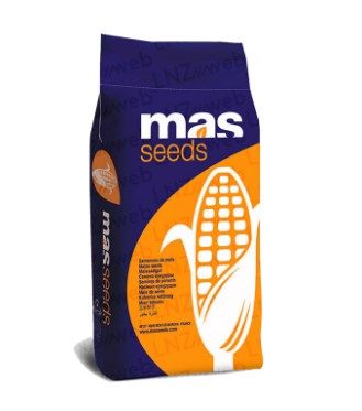 Насіння кукурудзи MAS 44.A (Мас 44.А), ФАО 380 (MAS Seeds) МАКСИМ XL