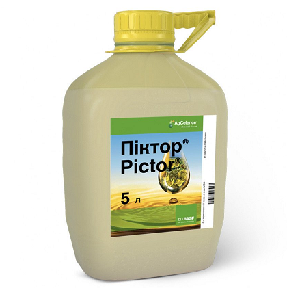 Фунгіцид Піктор, КС, 5 л (BASF)