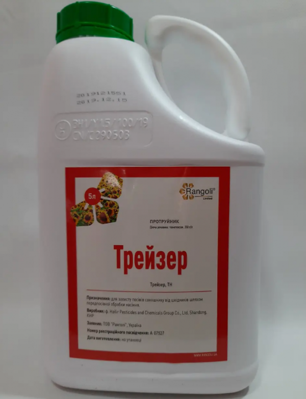 Протруйник Трейзер, Rangoli