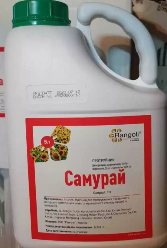 Протруйник Самурай, Rangoli