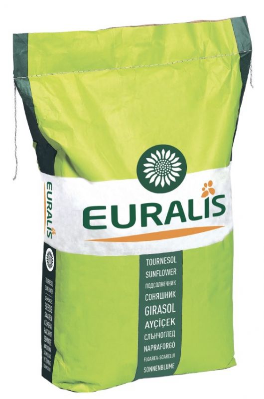 Середньоранній гібрид соняшнику ЕС Бостон СУ Maxim XL+Poncho