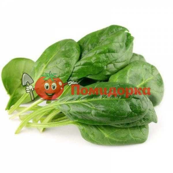 Шпинат ВУДПЕКЕР F1 | WOODPECKER F1 Rijk Zwaan, Фасовка - 25 000 семян