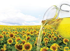 Насіння соняшника СУБАРО HTS під Гранстар (Syngenta) CRUISER+FORCE