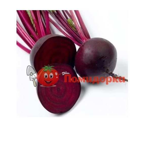 Свекла БИКОРЕС F1 | BIKORES F1 Bejo, Фасовка - 10 000 семян