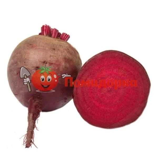 Свекла ДЖОЛИ F1 | DGOLI F1 Hazera, Фасовка - 50 000 семян