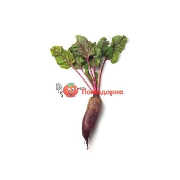 Свекла КАРИЛОН | CARILLON Rijk Zwaan PR (калибр 3.5-4.25), Фасовка - 100 000 семян