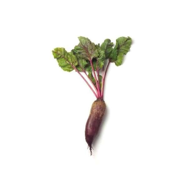 Свекла КАРИЛОН | CARILLON Rijk Zwaan, Фасовка - 100 000 семян