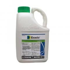 Інсектицид Енжіо 247 SC, к. с., 5 л (Syngenta)