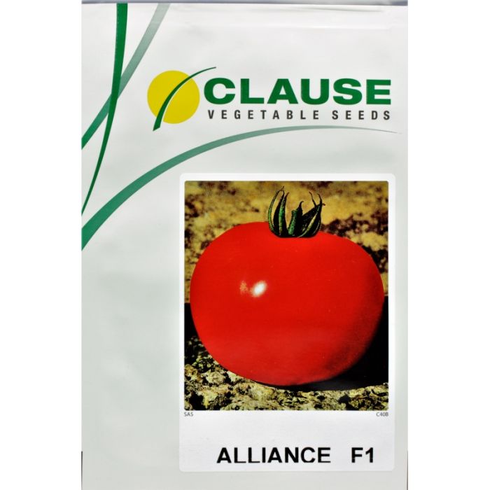 Томат АЛЬЯНС F1 | ALYANS F1 Clause, Фасовка - 250 семян