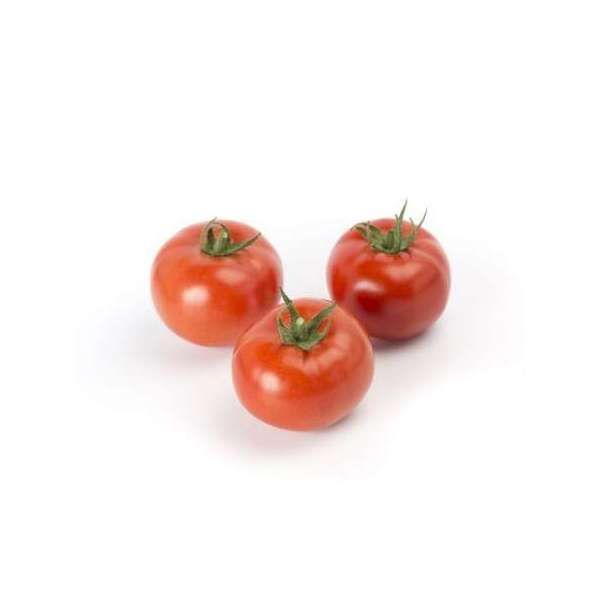 Томат АТТИЯ F1 | ATTIYA F1 Rijk Zwaan, Фасовка - 1000 семян