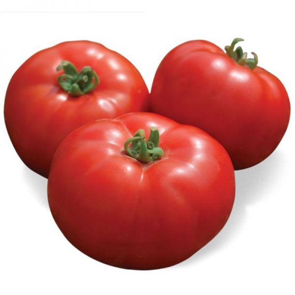 Томат Йолнар F1 | Yolnar F1 Clause, Фасовка - 1000 семян