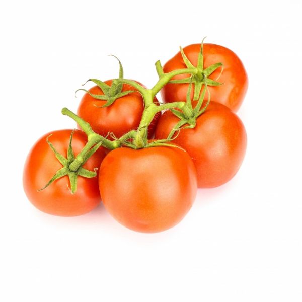 Томат КАПОНЕТ F1 | CAPONET F1 Syngenta, Фасовка - 500 семян