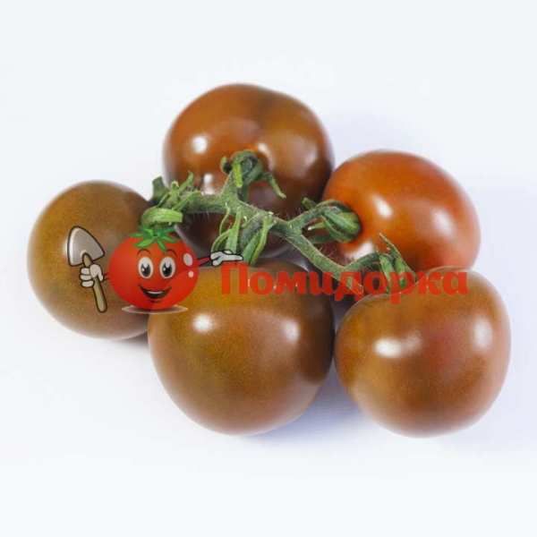 ТОМАТ KS 3900 F1 | KS 3900 F1 Kitano, Фасовка - 250 семян