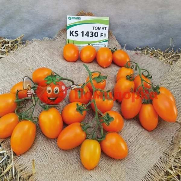 Томат KS1430 F1 | KS1430 F1 Kitano, Фасовка - 250 семян
