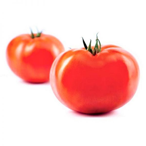 Томат КВАЛИТЕТ F1 | QUALITET F1 Syngenta, Фасовка - 500 семян