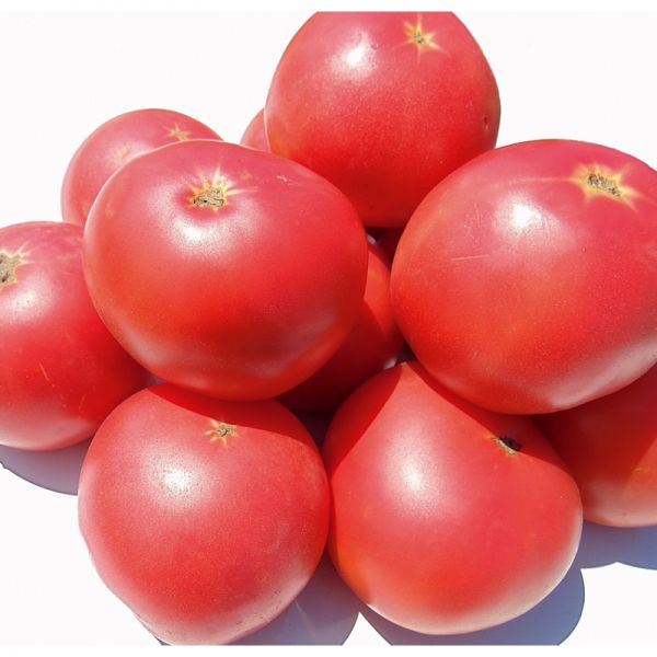 Томат Пинк Кристал F1 | Pinc Cristal F1 Clause, Фасовка - 250 семян