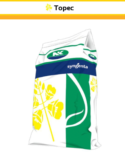 Насіння озимого ріпаку Торес (TORES)