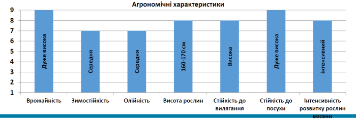  Семена  озимого рапса Торес (TORES)
